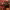 https://res.cloudinary.com/billionhands/image/upload/v1775552616/items/kiizcsaf84tfou5evwy7.jpg-2cover