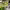 Pickle Gin Martini cover