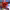 https://res.cloudinary.com/billionhands/image/upload/v1775552899/items/xqamhls7nhjntwt6az4o.webp-0cover