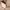 https://res.cloudinary.com/billionhands/image/upload/v1775553005/items/gc7c0eoslbwov4as1a0d.jpg-0cover