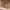 https://res.cloudinary.com/billionhands/image/upload/v1775553006/items/qn6v3ixko8mxjj1jtxya.jpg-2cover