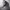 https://res.cloudinary.com/billionhands/image/upload/v1775553069/items/xkeoe7x2d6twzma56qup.jpg-3cover