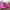 https://res.cloudinary.com/billionhands/image/upload/v1775553337/items/ecewgpug2rdpixtlxzdh.webp-2cover