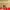 https://res.cloudinary.com/billionhands/image/upload/v1775553445/items/vxssirioxcpdzpmfufdw.jpg-3cover