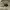 https://res.cloudinary.com/billionhands/image/upload/v1775553527/items/zhicqkrj50bjqtrlzf7n.jpg-1cover