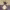 https://res.cloudinary.com/billionhands/image/upload/v1775553529/items/ksghmwtgc3zdj5r9nrni.jpg-3cover