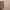 https://res.cloudinary.com/billionhands/image/upload/v1775553615/items/tfndi2lc1yvi7lfmzjer.jpg-1cover