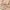 https://res.cloudinary.com/billionhands/image/upload/v1775553621/items/vn8c8upahowx61io0fbu.webp-3cover