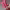 https://res.cloudinary.com/billionhands/image/upload/v1775553639/items/c5hstlaystvusqnzizoc.webp-2cover