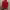 https://res.cloudinary.com/billionhands/image/upload/v1775553723/items/j2zotunvxxca1ymcyhfi.avif-1cover