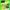 https://res.cloudinary.com/billionhands/image/upload/v1775553917/items/hqoddb2htrx5zeah44si.jpg-2cover