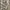 https://res.cloudinary.com/billionhands/image/upload/v1775554146/items/dcwykj7tlld6jilhszwm.jpg-2cover