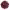 Hibisco cover