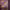Govee Curtain Lights cover