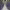 https://res.cloudinary.com/billionhands/image/upload/v1775554238/items/eb0sspwaz0vwhknbrfzo.jpg-0cover