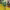 https://res.cloudinary.com/billionhands/image/upload/v1775554354/items/sdae5tece9hapnvdxehk.jpg-2cover