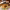 https://res.cloudinary.com/billionhands/image/upload/v1775554374/items/mbjsenlsmnxjwzpwvchh.webp-3cover