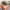 https://res.cloudinary.com/billionhands/image/upload/v1775554938/items/yxsvkwsl5cgoivc7ljzo.jpg-3cover