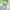 https://res.cloudinary.com/billionhands/image/upload/v1775554939/items/jdics2pqjtgq0cfpisw1.webp-2cover