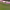 Kingsley Coman vs. Paris Saint-Germain (Final 2020) cover