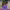 https://res.cloudinary.com/billionhands/image/upload/v1775555149/items/ftvywlr8qzxkw8ujkg7w.jpg-2cover
