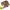 https://res.cloudinary.com/billionhands/image/upload/v1775555154/items/r8ni8yroktygcfgmaiob.webp-2cover