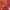https://res.cloudinary.com/billionhands/image/upload/v1775555177/items/cg61y4ugrgyoeah9gze5.jpg-2cover