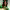 https://res.cloudinary.com/billionhands/image/upload/v1775555206/items/ctldrn4uuakug5wh1czd.jpg-0cover