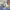 https://res.cloudinary.com/billionhands/image/upload/v1775555248/items/ovsrf8rxibb7alvhli3x.jpg-3cover