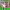 https://res.cloudinary.com/billionhands/image/upload/v1775555336/items/saig6uvou5fdtij3pa5v.webp-1cover