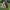 https://res.cloudinary.com/billionhands/image/upload/v1775555338/items/jzygxjpvnpjkbjmrkxcr.jpg-3cover