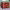 https://res.cloudinary.com/billionhands/image/upload/v1775555348/items/poqnnifjxmzsallnsrxb.avif-3cover