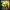 https://res.cloudinary.com/billionhands/image/upload/v1775555390/items/vin6hoywxffxa2njuaor.jpg-3cover