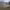 https://res.cloudinary.com/billionhands/image/upload/v1775555400/items/x5tsov7xb1cmdnlxfubc.jpg-1cover