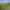 https://res.cloudinary.com/billionhands/image/upload/v1775555402/items/dfdq4dwiiwbkpwprq7ht.jpg-0cover