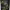 Magic: The Gathering Mazo de Comandante de Secretos de Strixhaven - Witherbloom Pestilencia cover