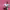 https://res.cloudinary.com/billionhands/image/upload/v1775555754/items/vvzzz3l41gyraqpekdry.jpg-3cover