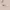 https://res.cloudinary.com/billionhands/image/upload/v1775555787/items/ogwto8dhdrzr2mrarjdd.jpg-3cover