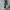 https://res.cloudinary.com/billionhands/image/upload/v1775555807/items/zj92dfwnswchhxpkqymr.jpg-2cover