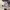 https://res.cloudinary.com/billionhands/image/upload/v1775555809/items/uzipi2q18tj43cwfkifz.jpg-0cover