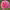 https://res.cloudinary.com/billionhands/image/upload/v1775555830/items/ldjovfpecfrzgieibgga.webp-2cover