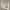 https://res.cloudinary.com/billionhands/image/upload/v1775555859/items/a1s5gidoouf4kogollhl.webp-2cover