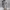 https://res.cloudinary.com/billionhands/image/upload/v1775556003/items/t7ik7xukwvhijn9wwccd.png-1cover