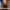 https://res.cloudinary.com/billionhands/image/upload/v1775556059/items/zieup88oqrrsmsjsorqs.jpg-0cover