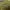 https://res.cloudinary.com/billionhands/image/upload/v1775556064/items/nwi212oudwf15pumx4a8.jpg-2cover
