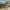 https://res.cloudinary.com/billionhands/image/upload/v1775556065/items/fsczifgq7szwbubbr9dq.jpg-2cover