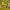 https://res.cloudinary.com/billionhands/image/upload/v1775556214/items/bjapiopcqnqyoodiwzkj.webp-2cover