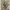 https://res.cloudinary.com/billionhands/image/upload/v1775556552/items/m7pit2wcefedbixockze.jpg-1cover