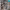 https://res.cloudinary.com/billionhands/image/upload/v1775556861/items/yv7cmynvhkrbqbv7pus2.png-3cover