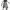 https://res.cloudinary.com/billionhands/image/upload/v1775556864/items/bigldhckjrf5mgam3bue.webp-2cover